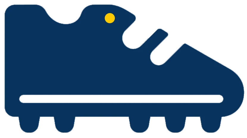 Shoe Cleaning services in Noida