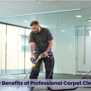 Professional carpet cleaning