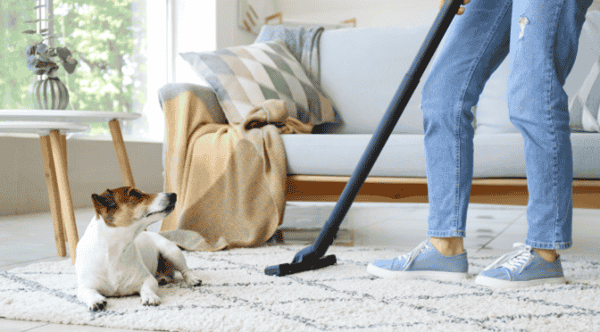 Carpet and sofa cleaning service near me – steam vacuum and upholstery shampoo cleaning by Laundrywala