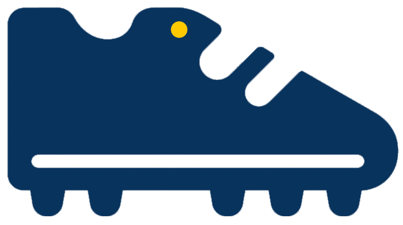 best shoe cleaning services in wakad pune